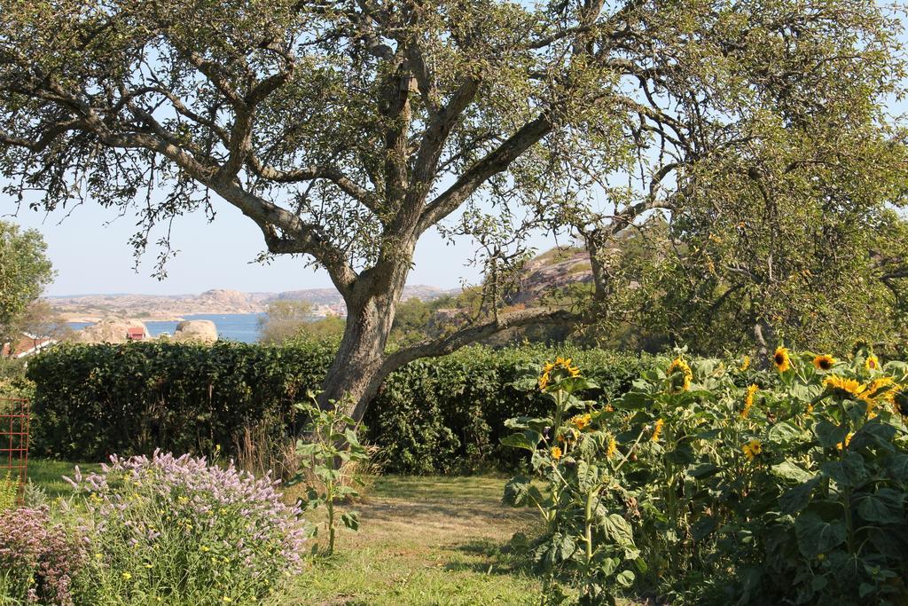 Hostel Ramsviks Overgard Hunnebostrand Exteriér fotografie