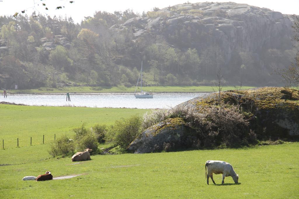 Hostel Ramsviks Overgard Hunnebostrand Exteriér fotografie