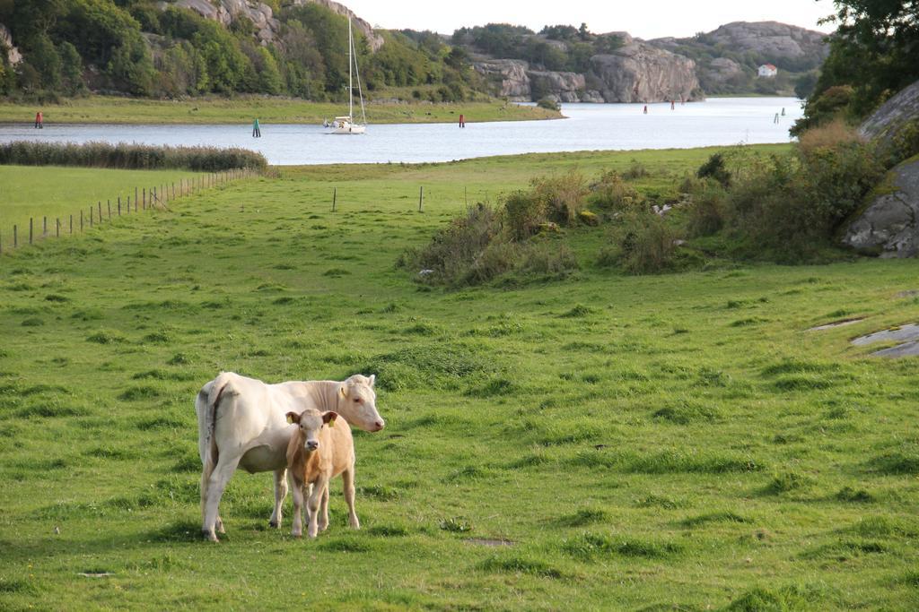 Hostel Ramsviks Overgard Hunnebostrand Exteriér fotografie