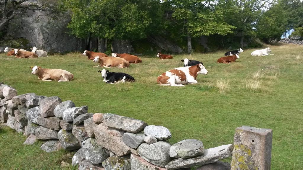 Hostel Ramsviks Overgard Hunnebostrand Exteriér fotografie